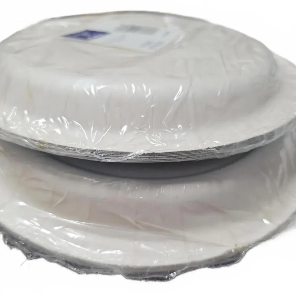 USA Hallmark Ambassador Paper Plates 2‑Pk, 8.75